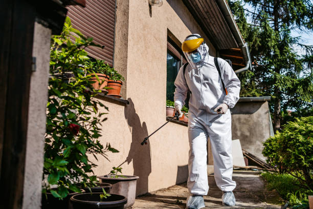 Best Rat Extermination Near Me  in Altamont, IL