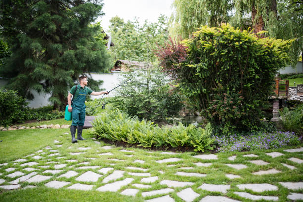 Best Mosquito Control Services  in Altamont, IL